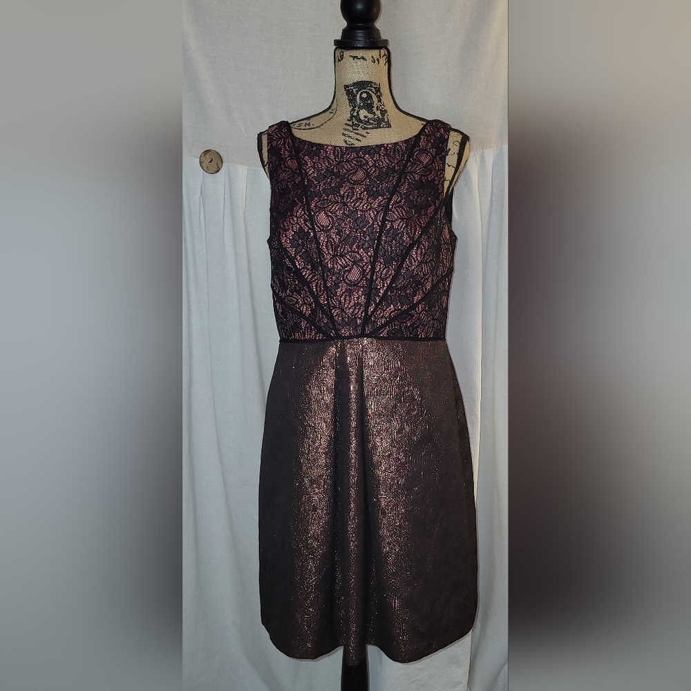 Adrianna Papell Lace Brocade Metallic Dress Size 12